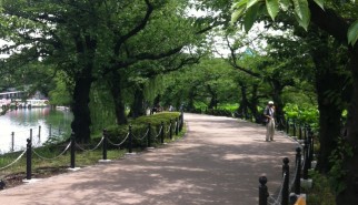 ueno-park